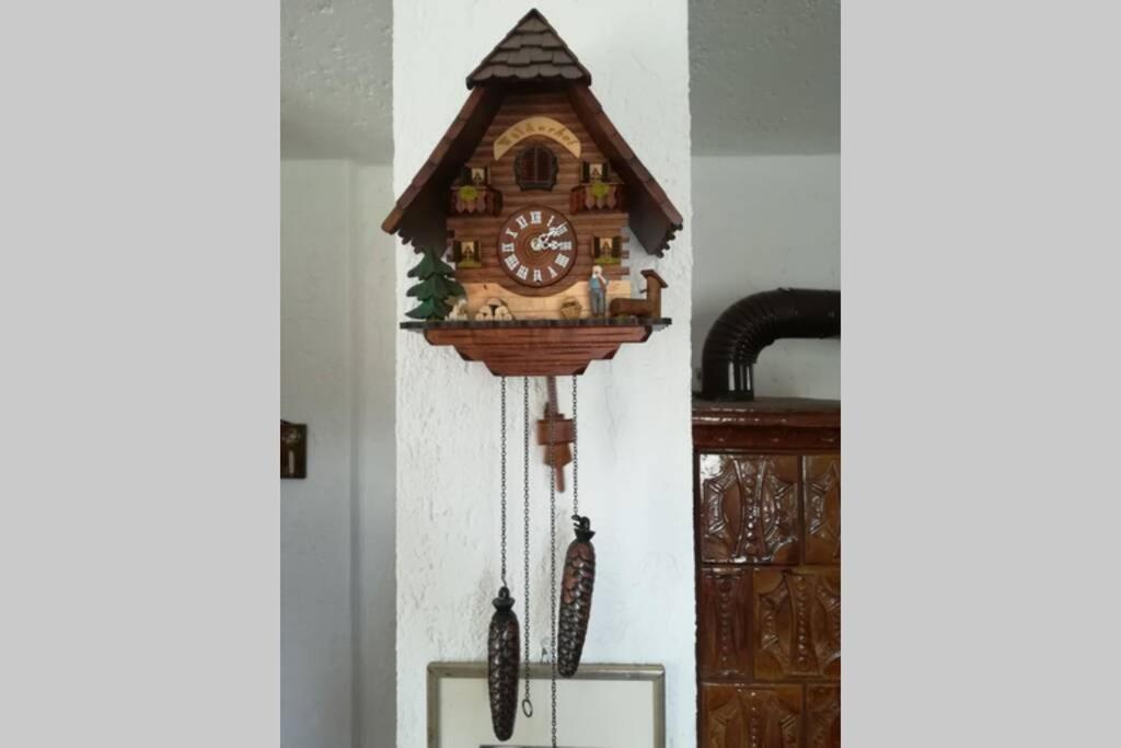 Apartmán Casa Bianca Malè Exteriér fotografie